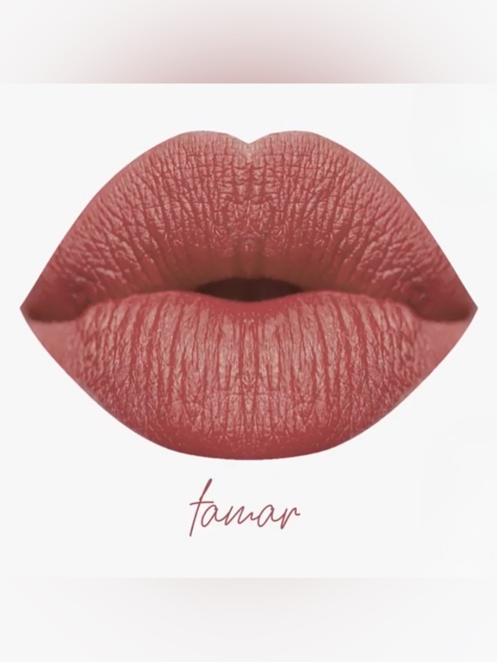 NIB Karity Lip Lock Velvet Liquid Lipstick - Tamar